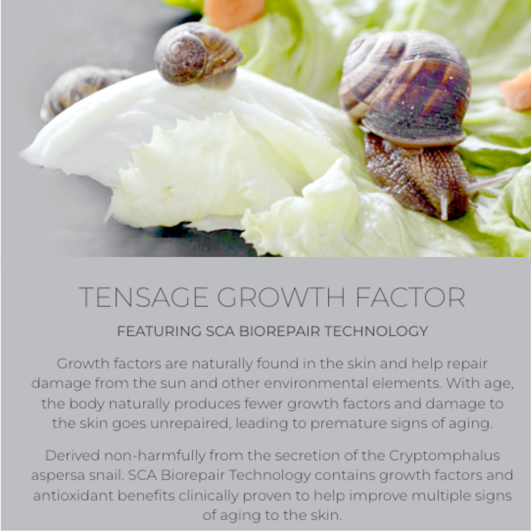 Tensage Advanced Cream Moisturiser 30g | Brains Street